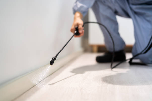 Licensed Pest Control service in Earlville, IL - Show Me Pest Control