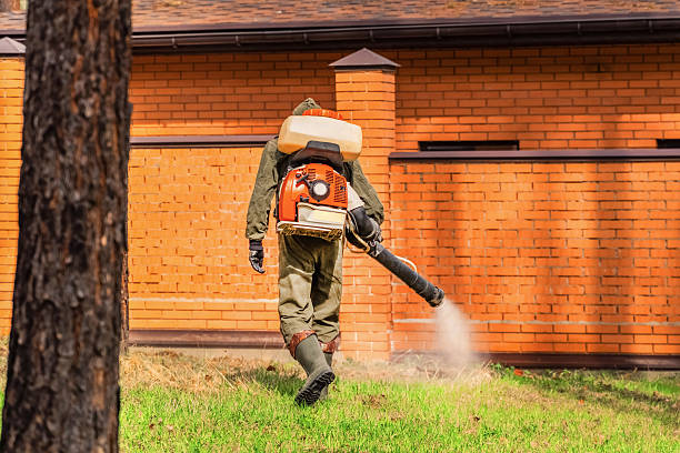 Top rated local Wasp Removal specialists in Earlville, IL
